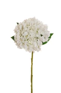 Τεχνητό λουλούδι ορτανσία Ιουλιέτα 50cm λευκό