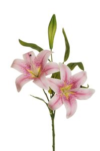 Τεχνητό λουλούδι Lily X2 73cm λευκό λεβάντας